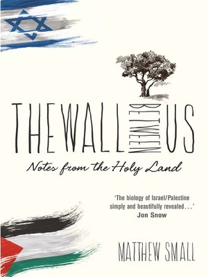 cover image of The Wall Between Us